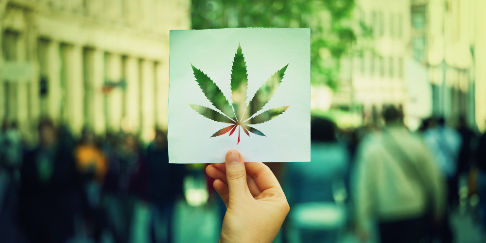 What's the Difference? : Cannabis Legalization vs. Cannabis Decriminalization