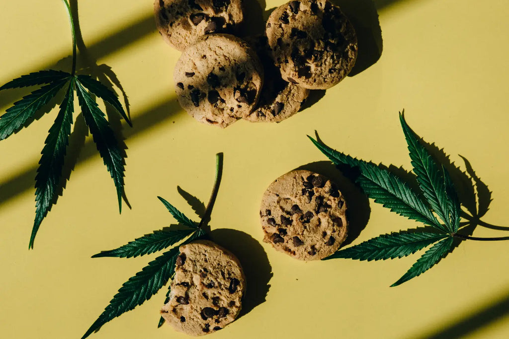 Cannabis Edibles: A Delicious and Discreet Way to Enjoy the Benefits of Cannabis