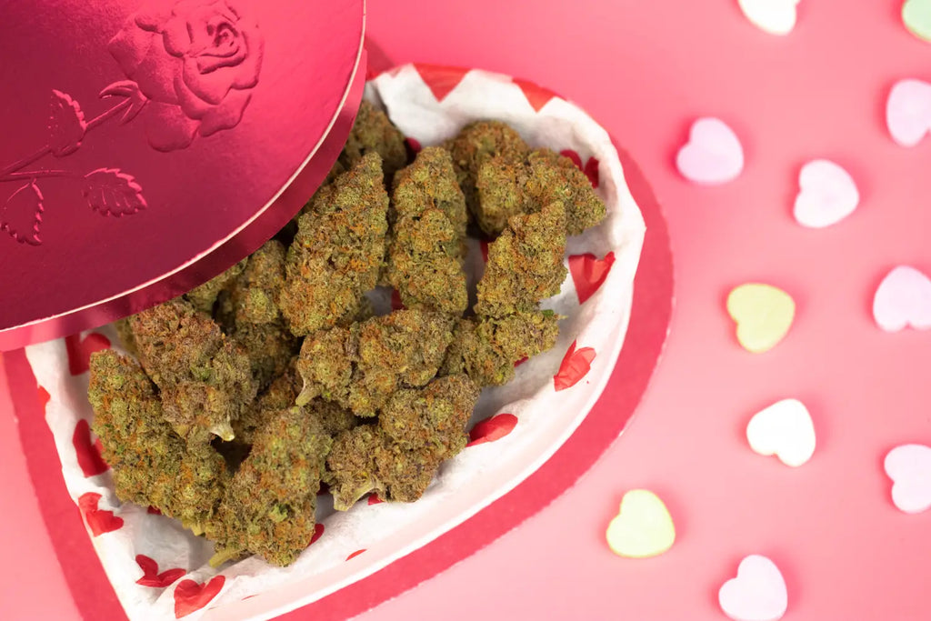 The Best Flowers for Your Valentine