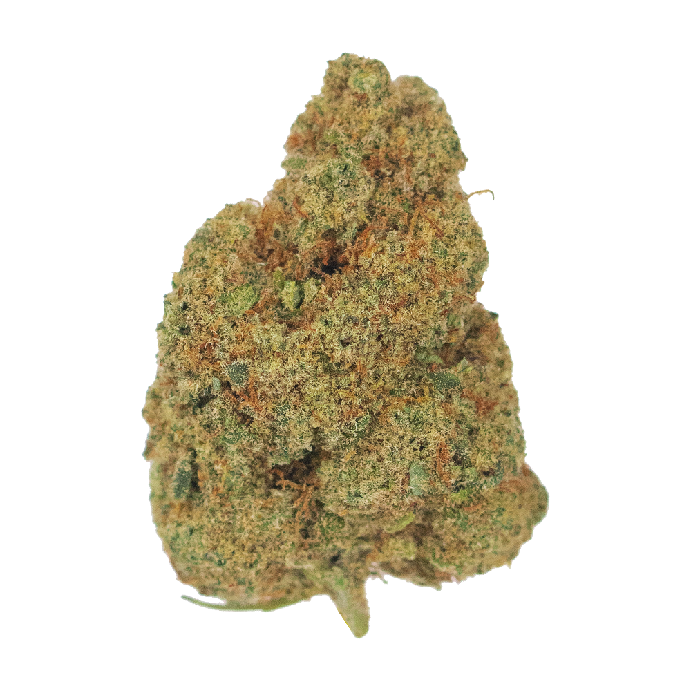 Orange Blossom - Strain Information -  - Strain