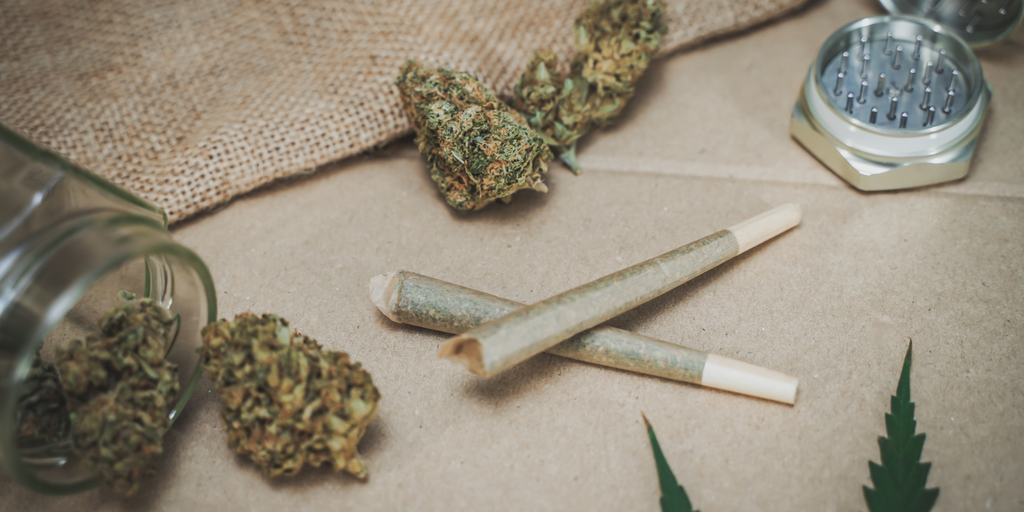 Are Infused Pre-Rolls Bad For You? What You Should Know