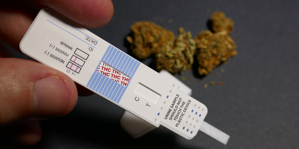 Does THCA Show Up On A Drug Test? Here’s What To Expect