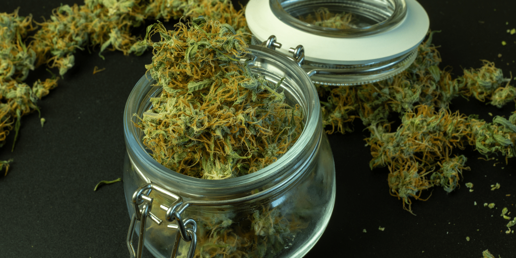 How To Store Weed So It Doesnt Smell