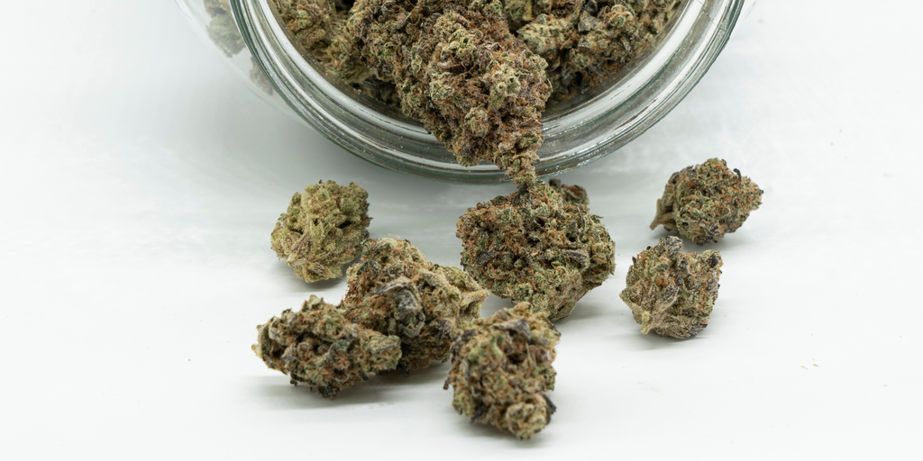THCA Flower Vs THC Flower: What’s The Real Difference?