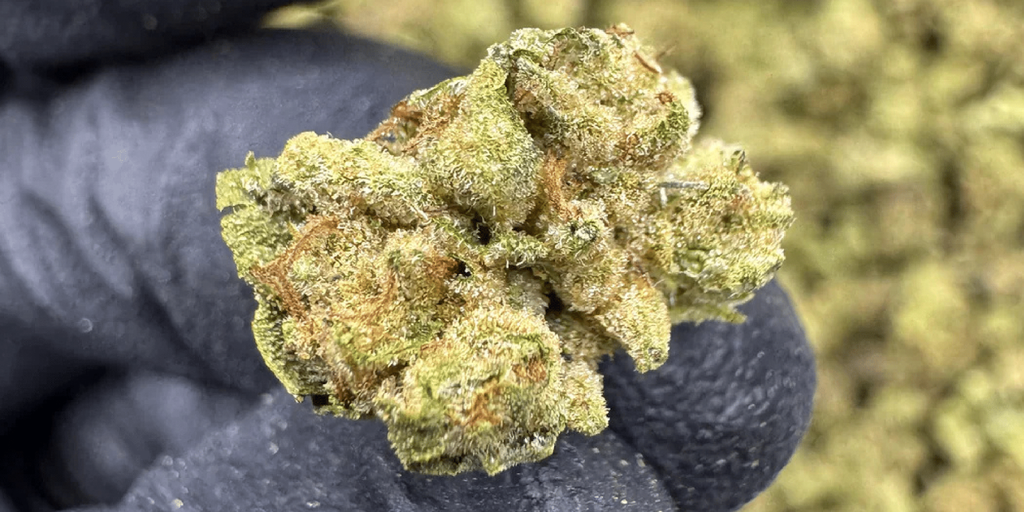 Top Shelf Flower