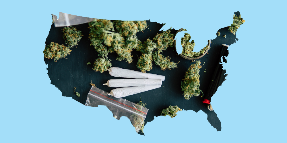 A Look into Cannabis Consumption: Which US States Top the List?