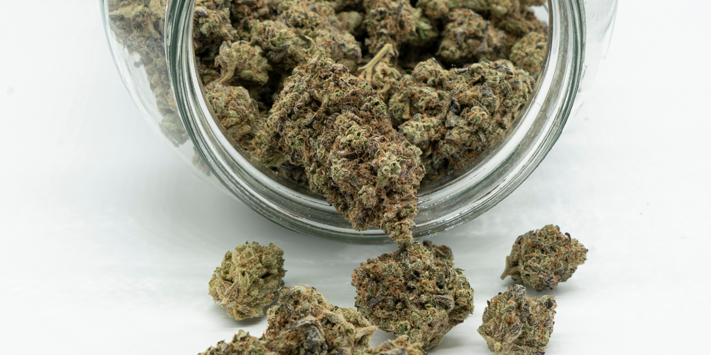 What Does Good Weed Look Like