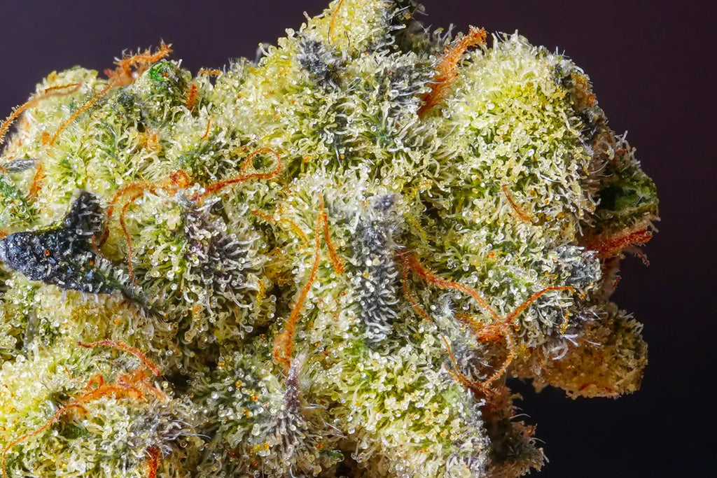 Exploring the Differences and Similarities Between THCA and CBD: Unlocking the Potential of Cannabinoids