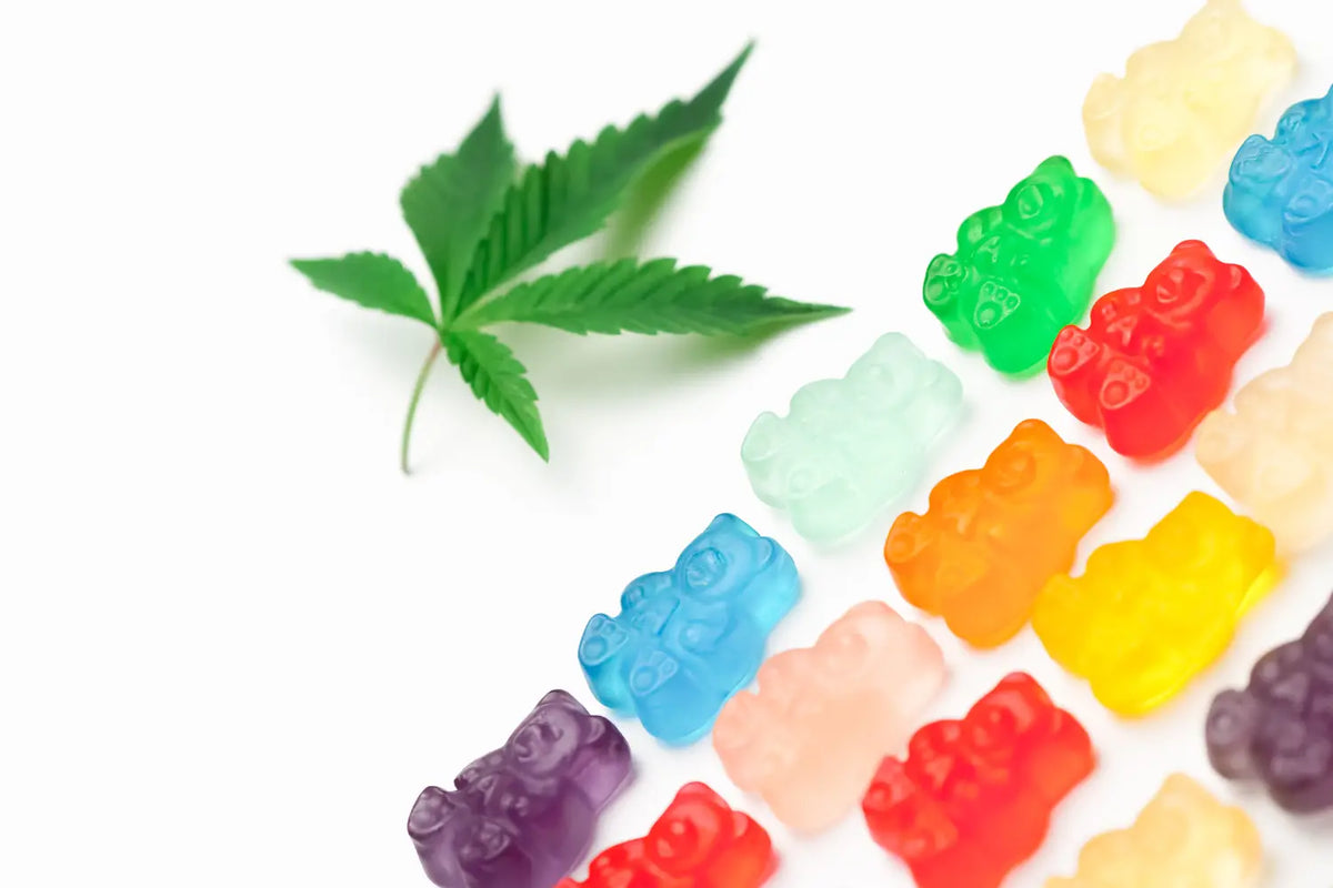 How To Choose The Best Delta 8 Gummies | Gold Standard