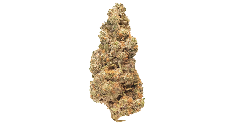  Apple Fritter Strain