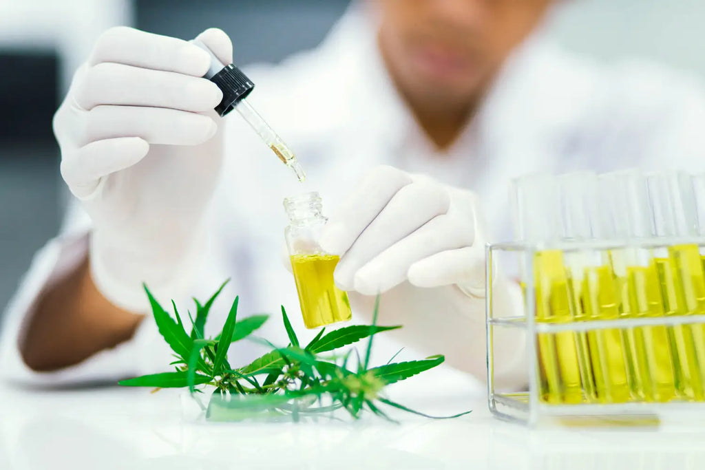 What Cannabinoids Can Show Up on Drug Tests?