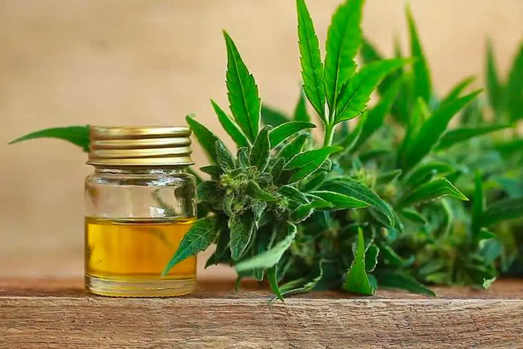 What is CBD Oil? - How to Use, Benefits, & Side Effects