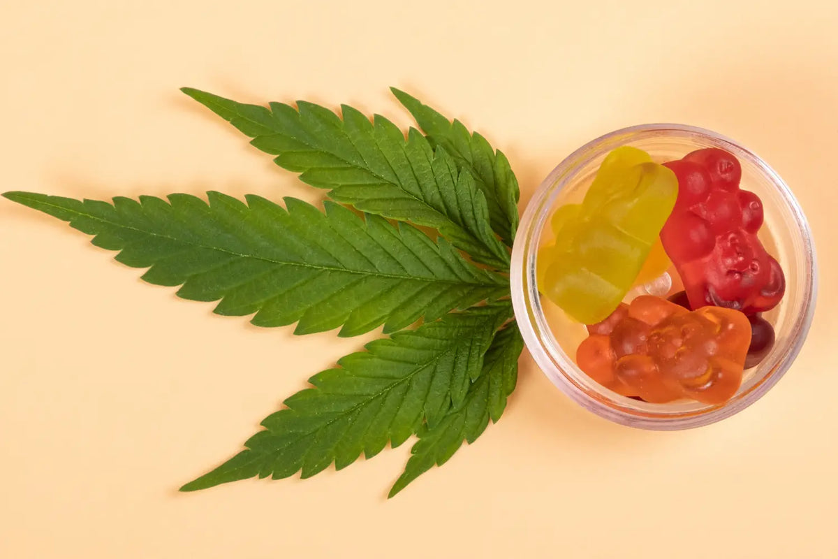 Why Delta 9 THC Gummies May Be a Better Choice Than Smoking Cannabis | Gold  Standard