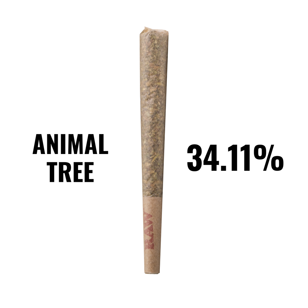 Animal Tree -THCA - bulk prerolls - TOP SHELF