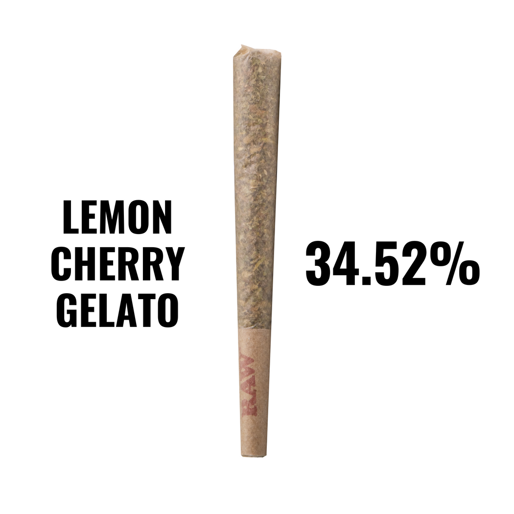 Lemon Cherry Gelato -THCA - bulk prerolls - TOP SHELF