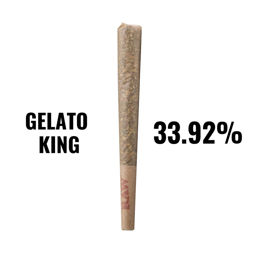 Gelato King -THCA - bulk prerolls - TOP SHELF