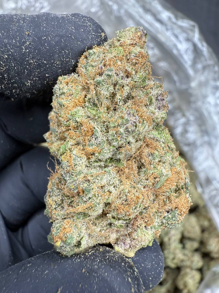 Blackberry Super Boof - THCA BULK FLOWER - EXOTIC INDOOR