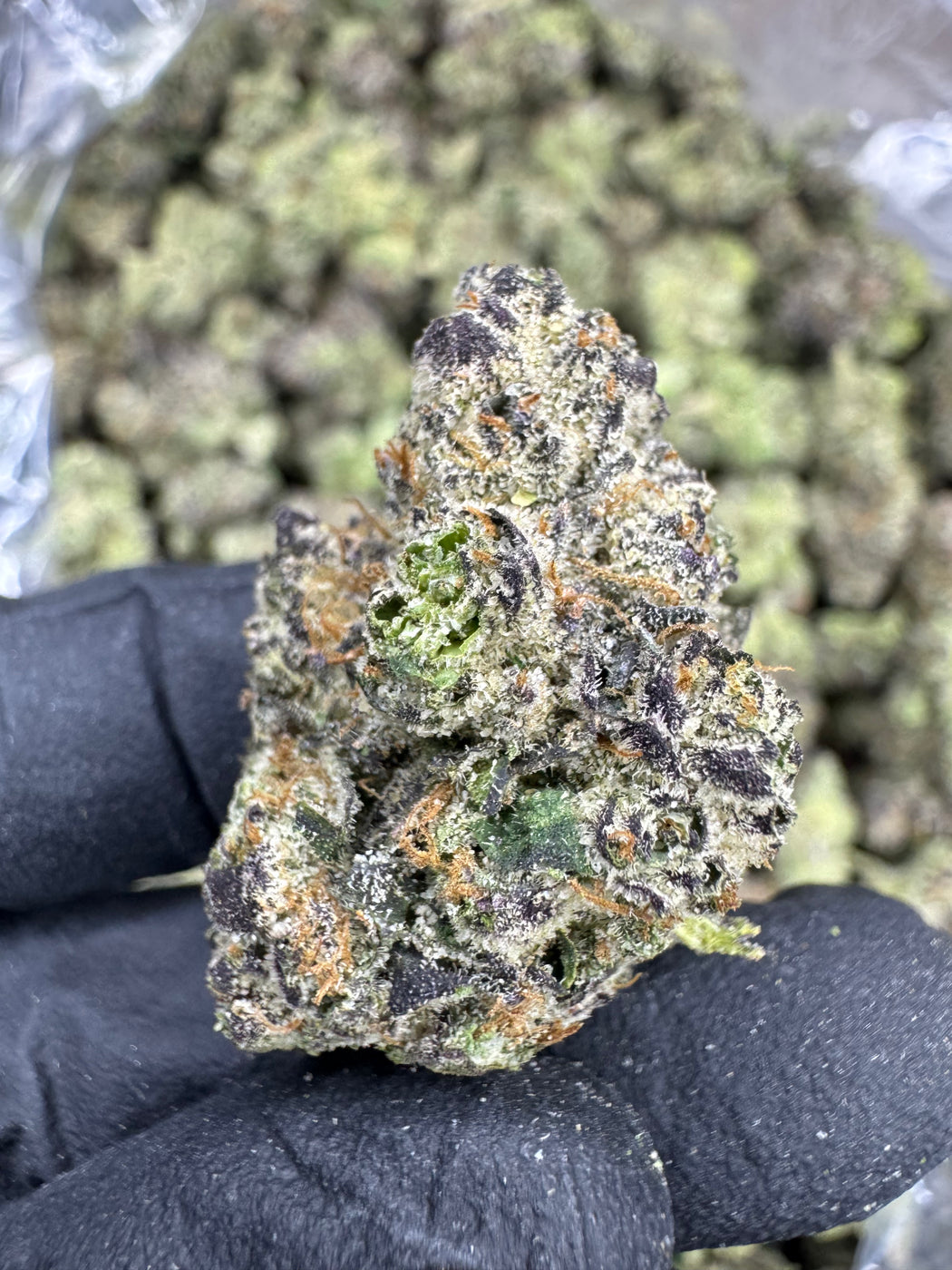 Blue Andeze - THCA FLOWER - EXOTIC INDOOR - Treemason