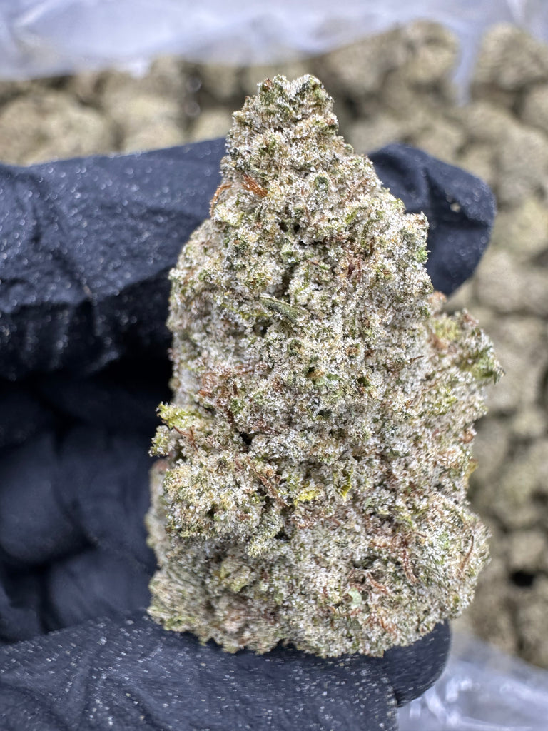 Blue Dream - THCP