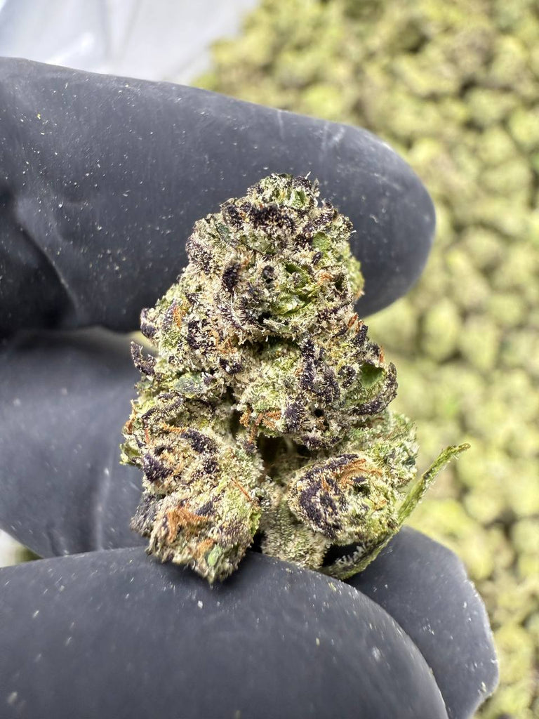 Blue Andeze - Gold Nuggets - THCa Flower EXOTIC SMALLS