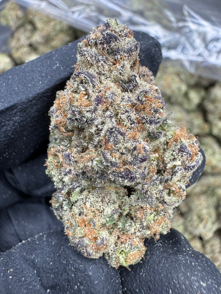 Blueberry Muffin - THCA FLOWER - EXOTIC INDOOR