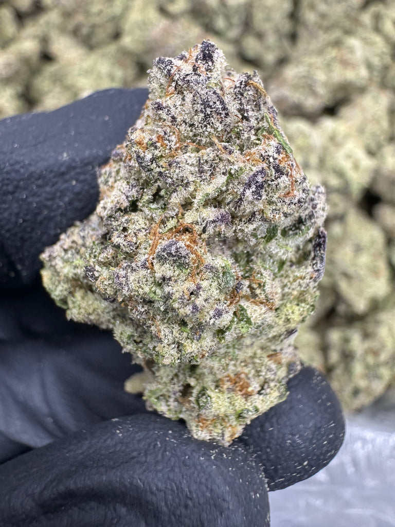 Blueberry Muffin - THCA FLOWER - EXOTIC INDOOR