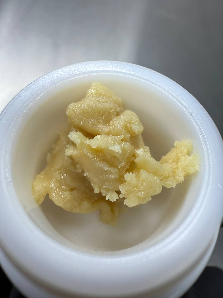 Blueberry Rings Live Rosin - THCA Concentrate - Treemason