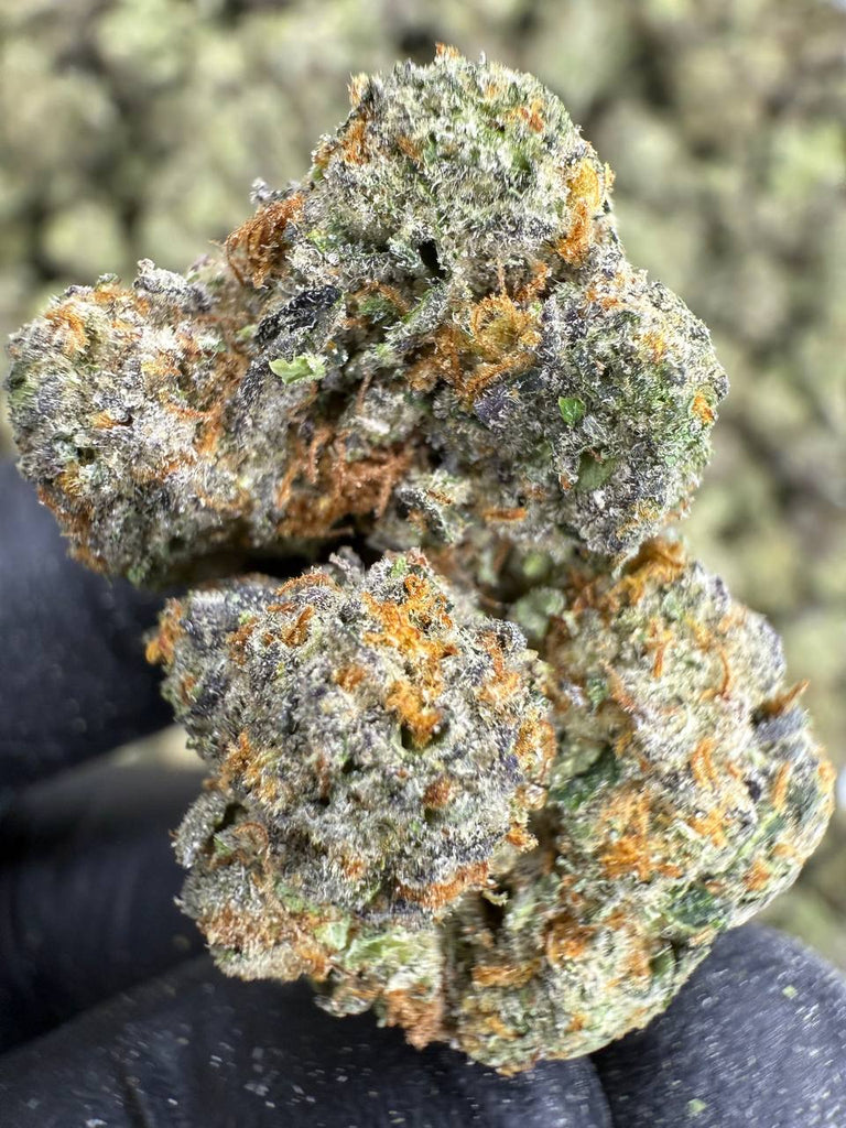 Blue Diamond x White Runtz - THCA BULK FLOWER - EXOTIC INDOOR