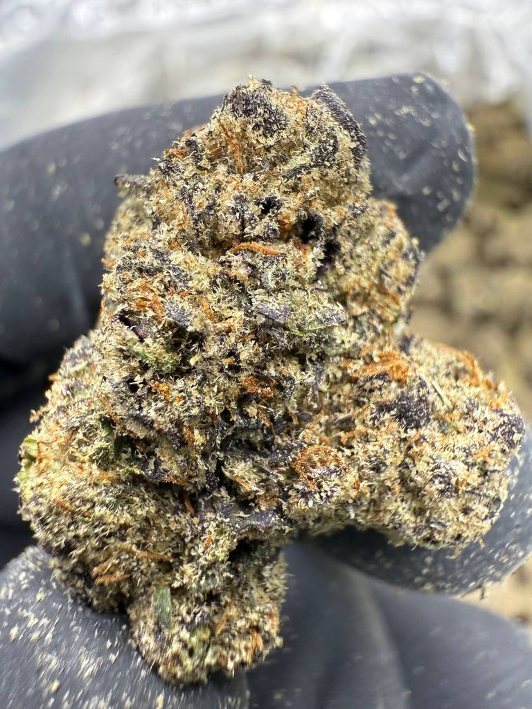 Bolo Runtz - THCA BULK FLOWER - EXOTIC INDOOR