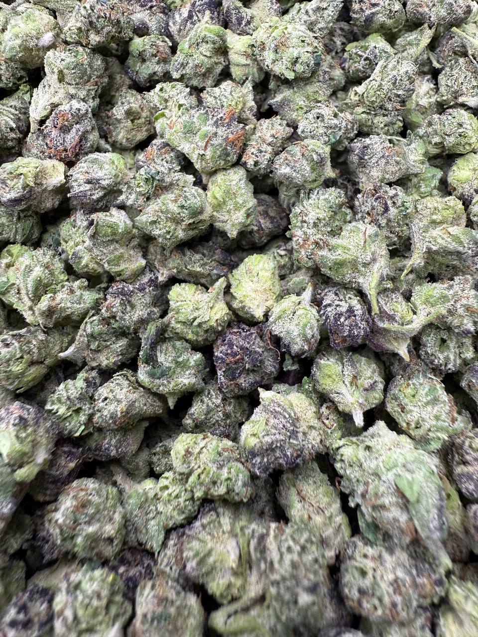 Candy Gas- Gold Nuggets - THCa Flower Exotic Micros