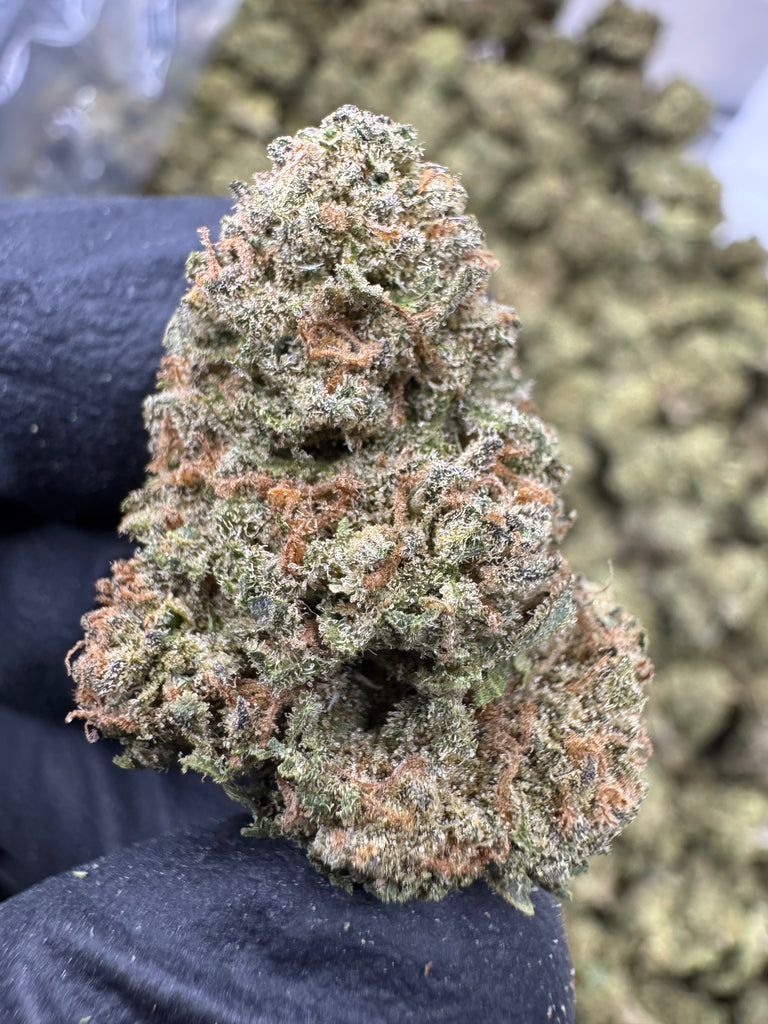 Candy Gas - THCA - CLASSIC RESERVE