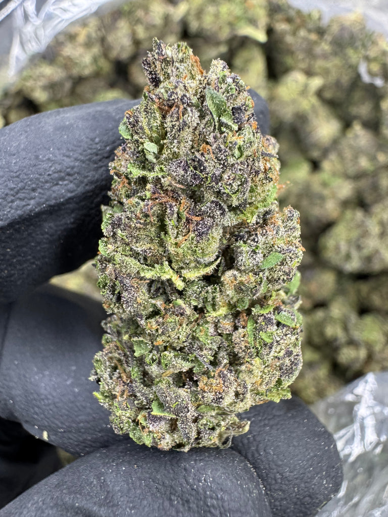 Cereal Milk - THCA FLOWER - AA INDOOR