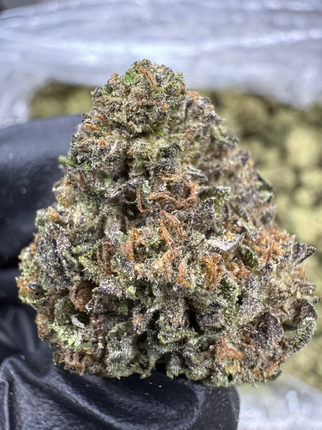 Cereal Milk- THCA FLOWER - TOP SHELF