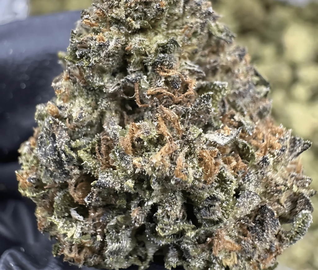 Cereal Milk THCA Flower