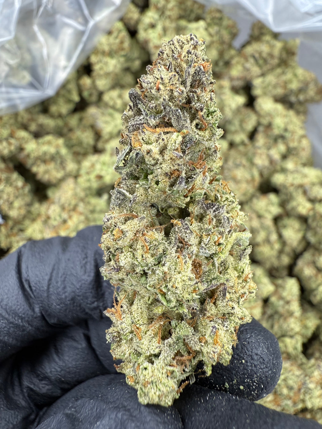 Donny Burger - THCA FLOWER - AA INDOOR