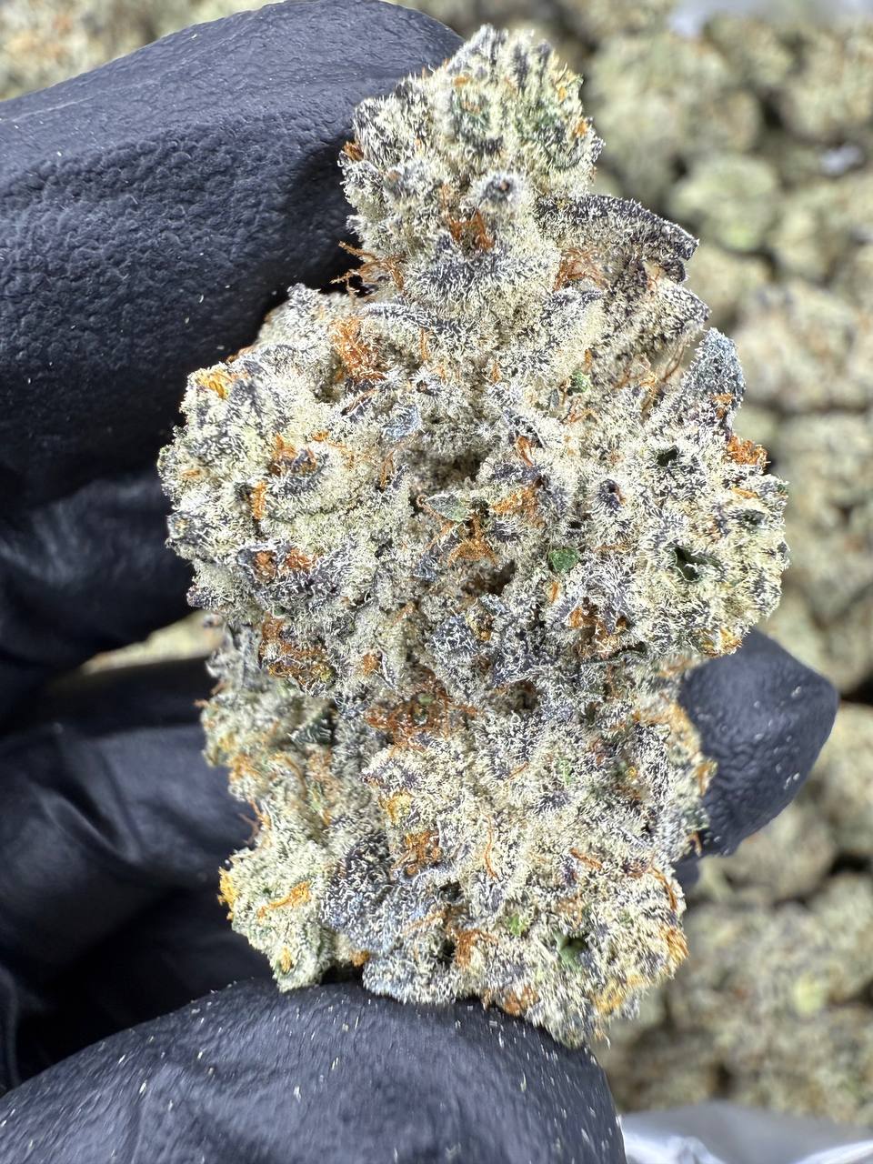 Double Stuffed - THCA BULK FLOWER -  AAA INDOOR