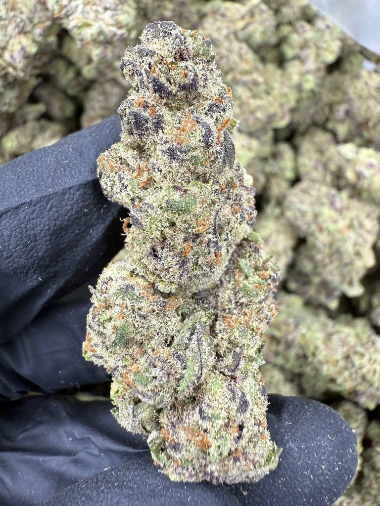 El Chivo - THCA BULK FLOWER - AA INDOOR