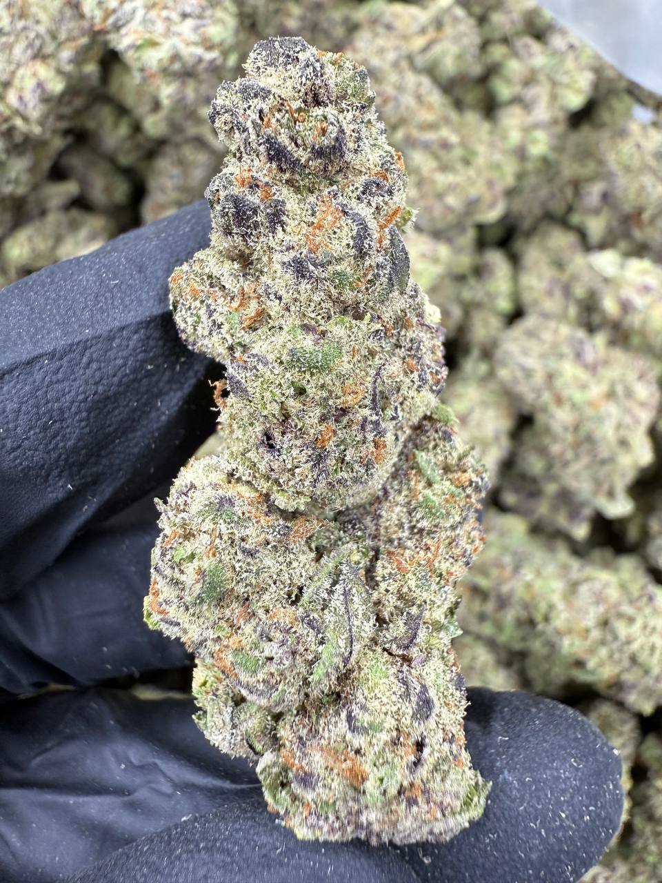 El Chivo - THCA BULK FLOWER - AA INDOOR