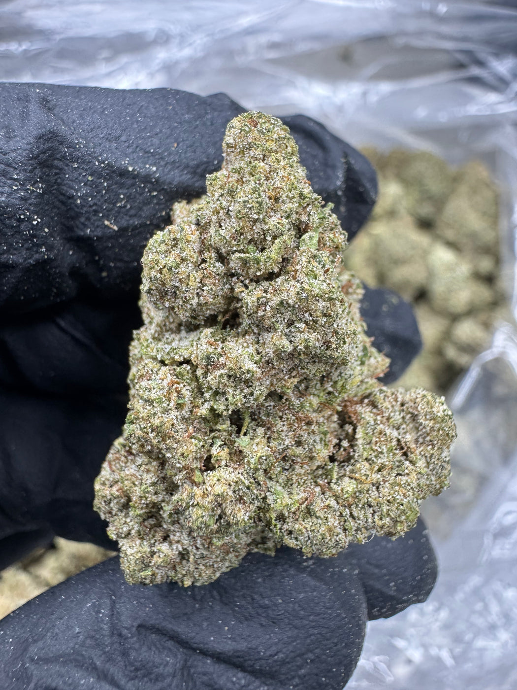 Frozen Lemons - THCP