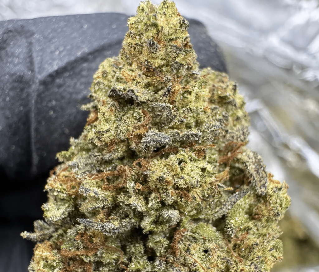 Gary Payton THCA Flower