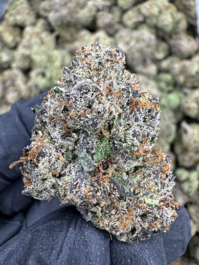 Gelato 47 - THCA FLOWER -  AAA INDOOR