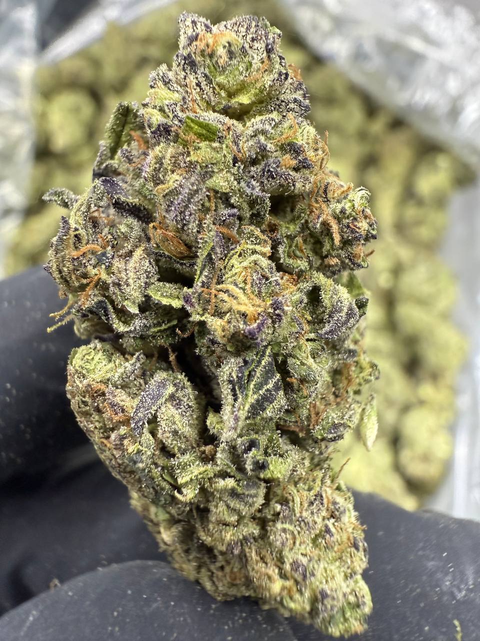Gelato Mintz - THCA BULK FLOWER - CLASSIC RESERVE