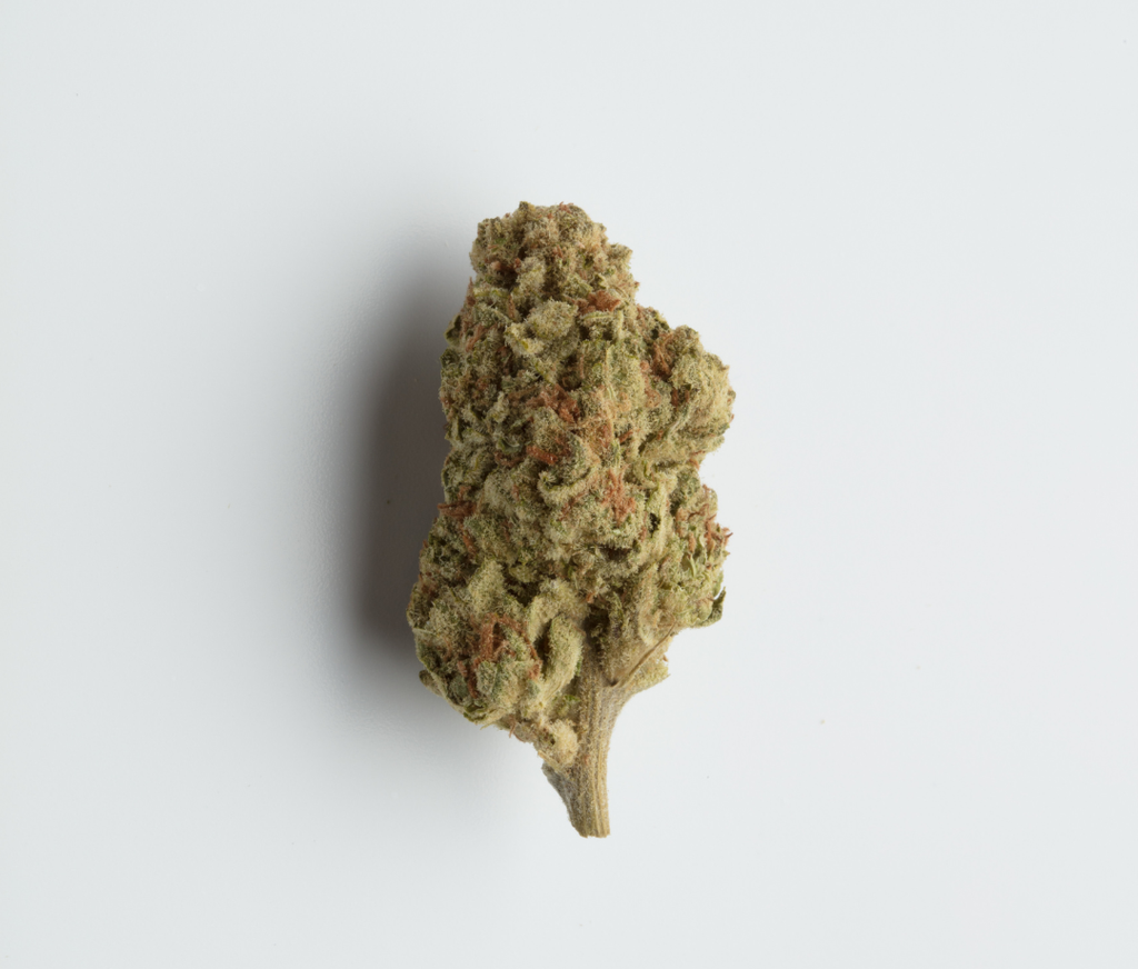 Gold CBD’s Girl Scout Cookies - THCA - Top Shelf