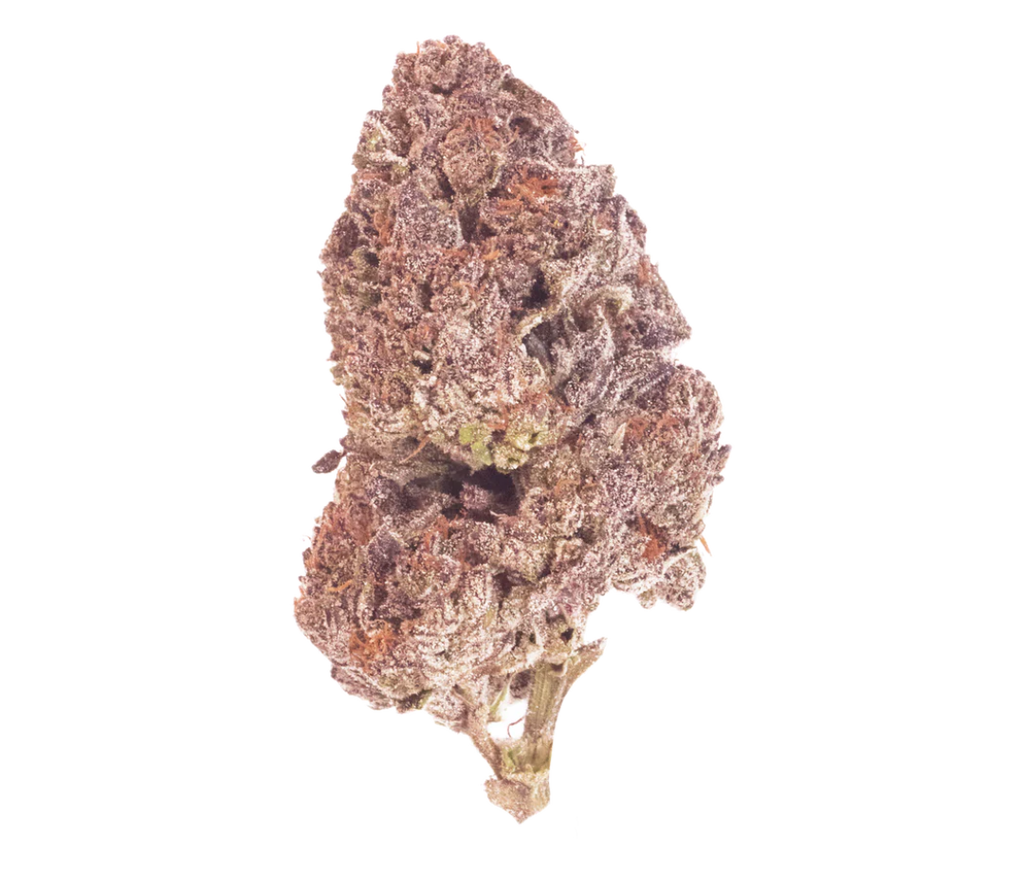 Gold CBD’s Purple Pebbles (Light Dep)