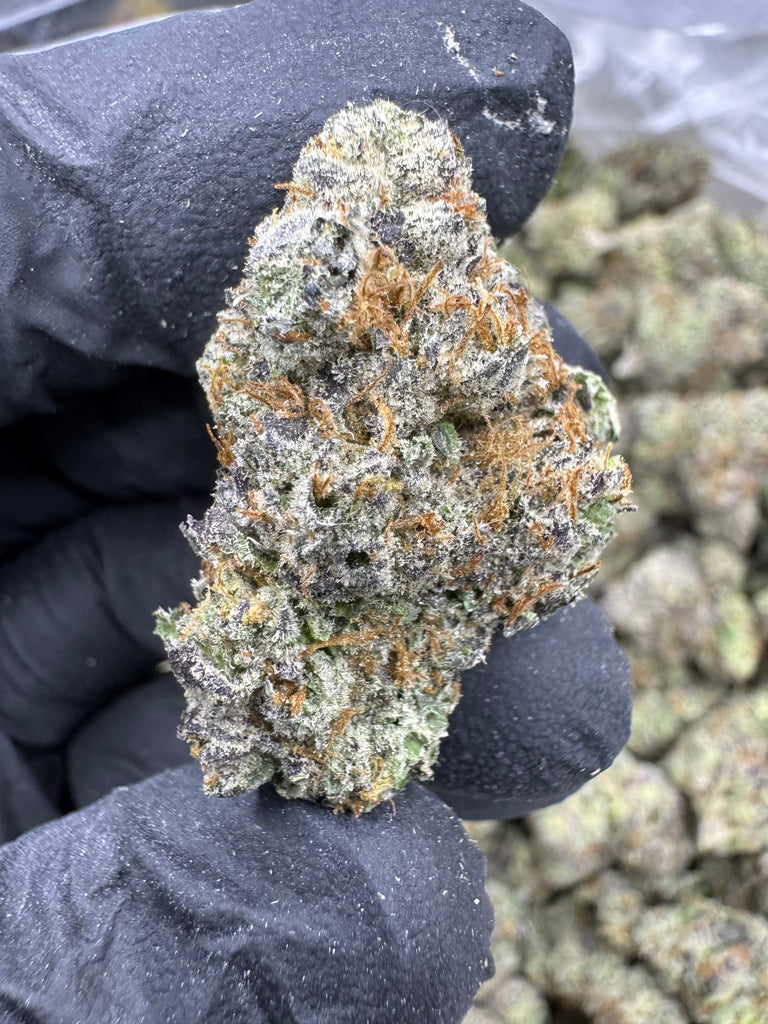 Gumbo - THCA - EXOTIC INDOOR - Treemason