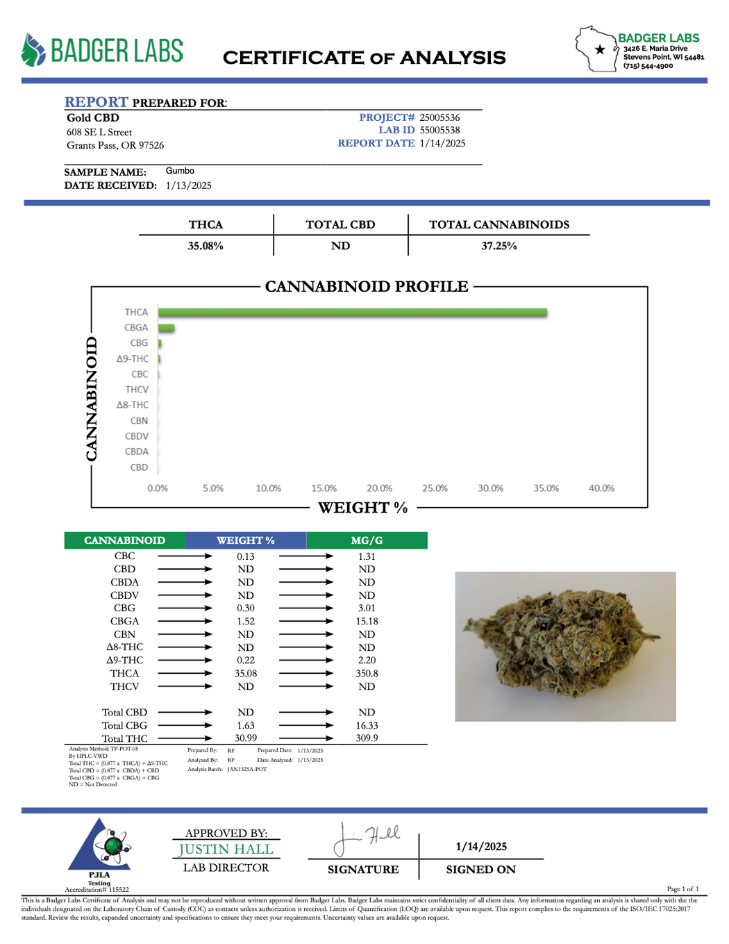 Gumbo - THCA - EXOTIC INDOOR - Treemason