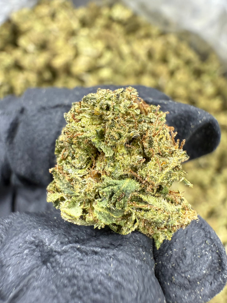 Gush Mintz - THCA BULK FLOWER SMALLS - CLASSIC RESERVE