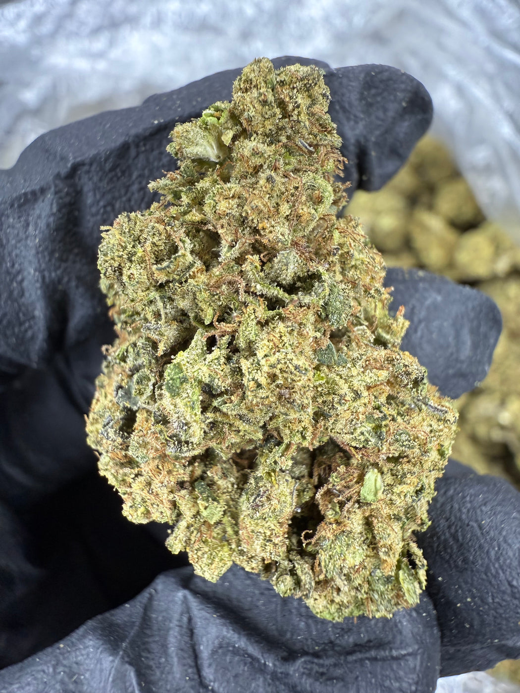 Gush Mintz - THCA BULK FLOWER - CLASSIC RESERVE