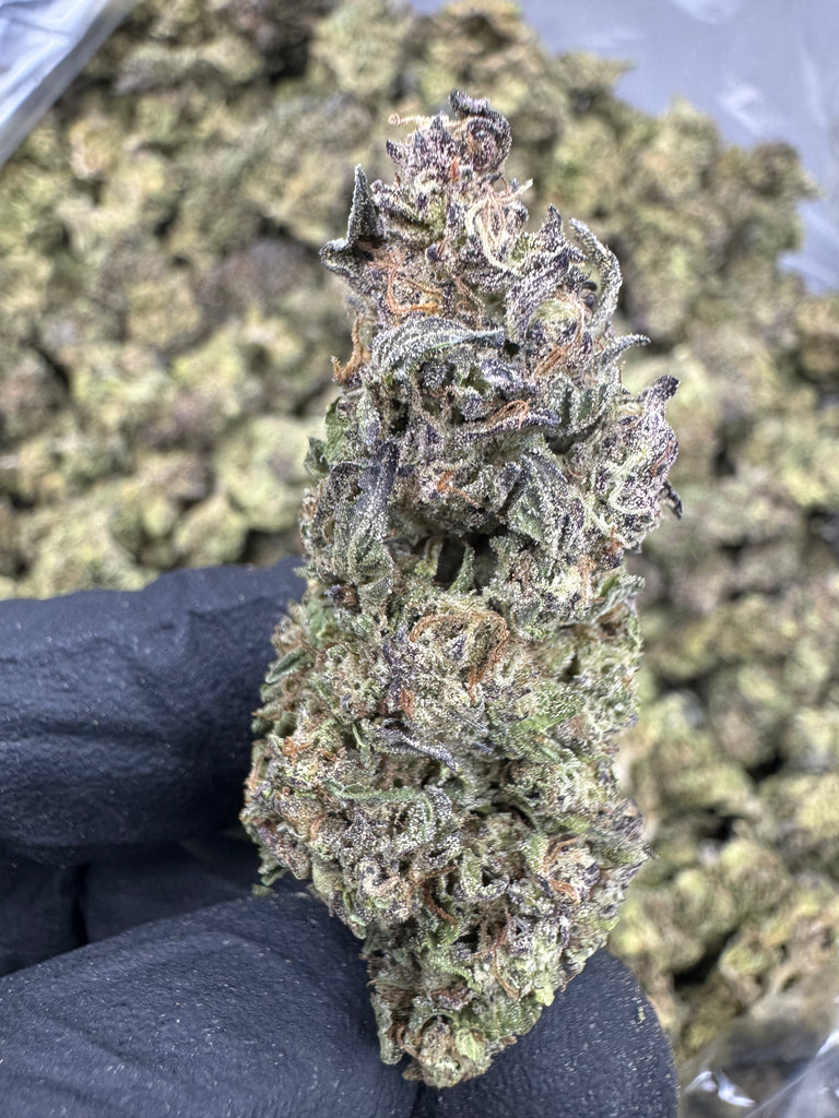 Gushers - THCA - CLASSIC RESERVE