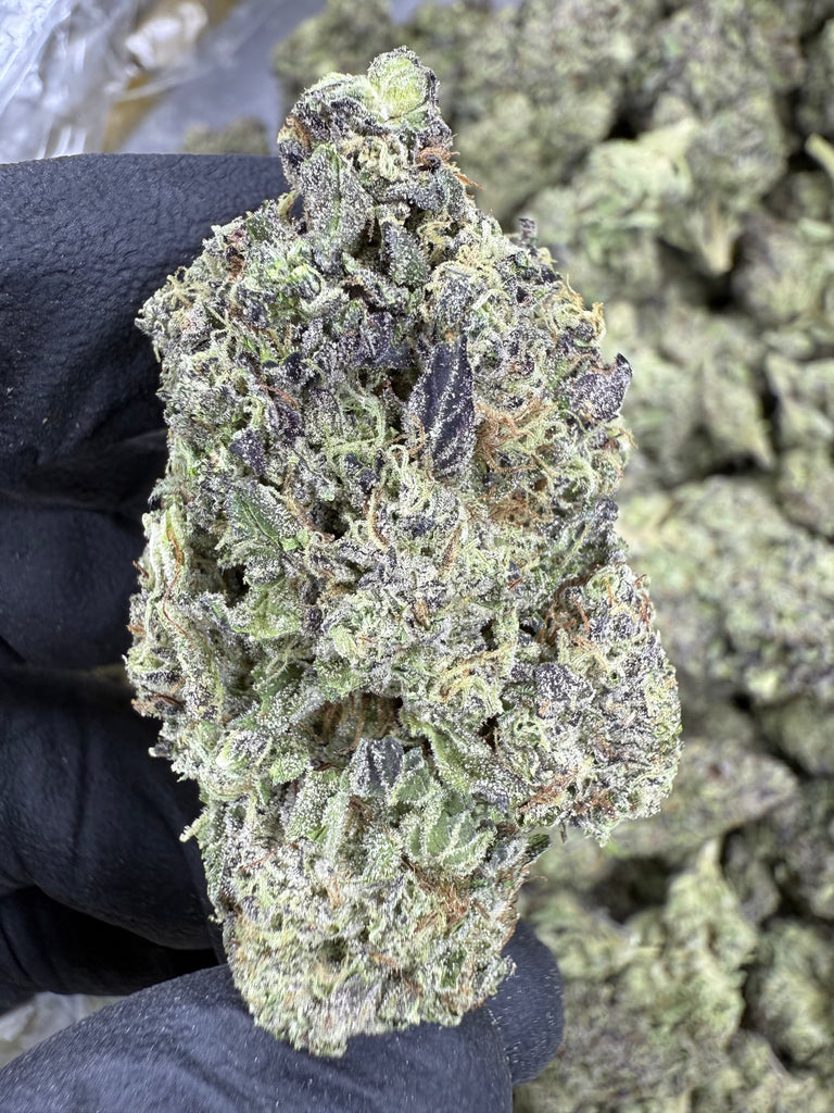 Gushers - THCA BULK FLOWER - TOP SHELF